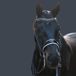 Halter Ego The Harlow Black Rolled Leather Double Bridle - Halter Ego® - Equiluxe Tack