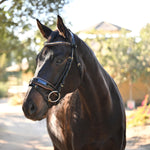 Halter Ego The Palermo Black Patent Leather Snaffle with Brown Padding - Halter Ego® - Equiluxe Tack