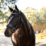 Halter Ego The Palermo Black Patent Leather Snaffle with Brown Padding - Halter Ego® - Equiluxe Tack