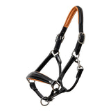 Halter Ego Tuscany Black Leather Halter with Cognac Padding - Halter Ego® - Equiluxe Tack