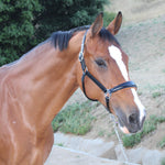 Halter Ego Tuscany Black Leather Halter with Cognac Padding - Halter Ego® - Equiluxe Tack