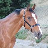 Halter Ego Tuscany Black Leather Halter with Cognac Padding - Halter Ego® - Equiluxe Tack