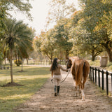 Hannah Childs Angelina Herringbone Stripe Sweater - Hannah Childs Lifestyle - Equiluxe Tack