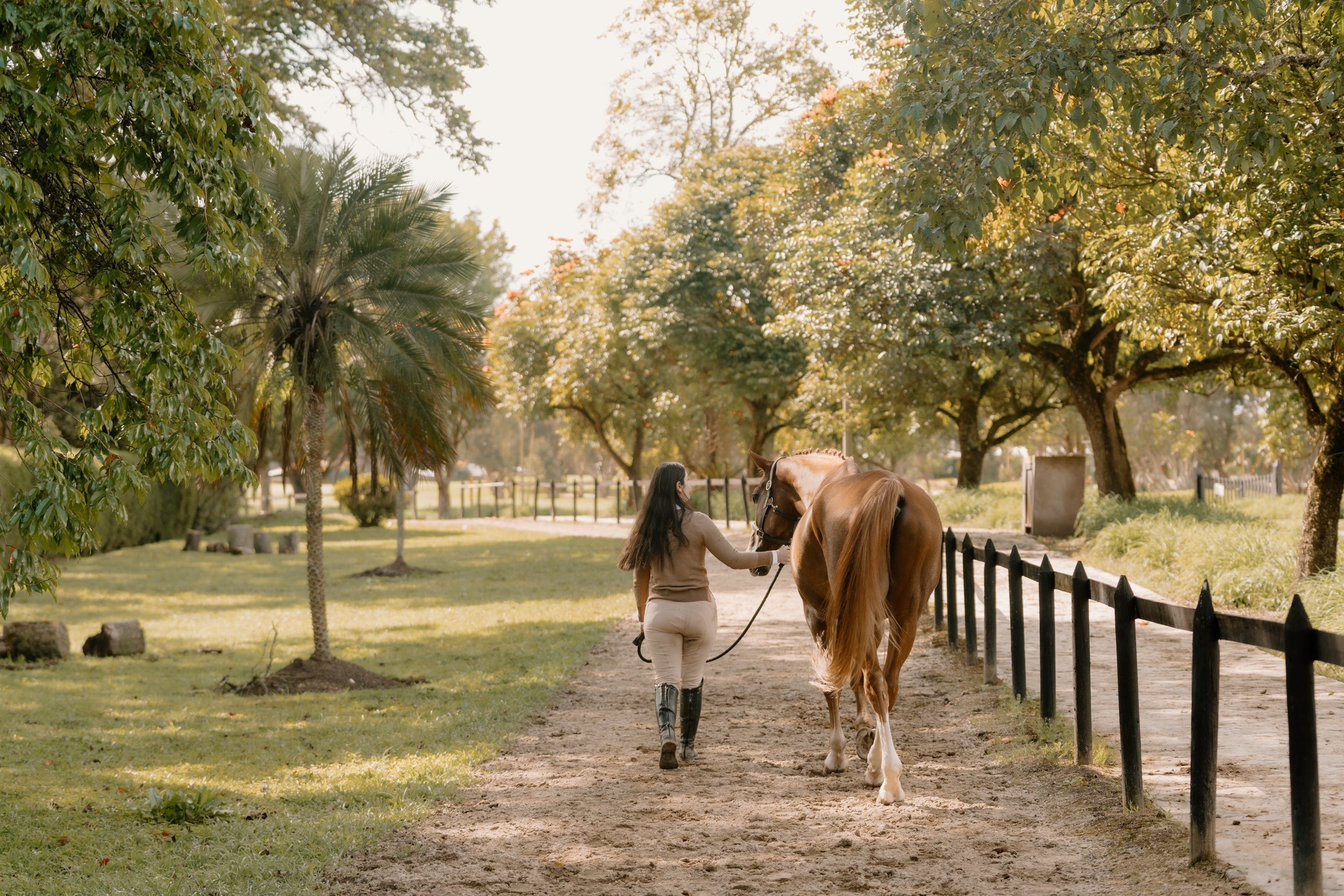 Hannah Childs Angelina Herringbone Stripe Sweater - Hannah Childs Lifestyle - Equiluxe Tack