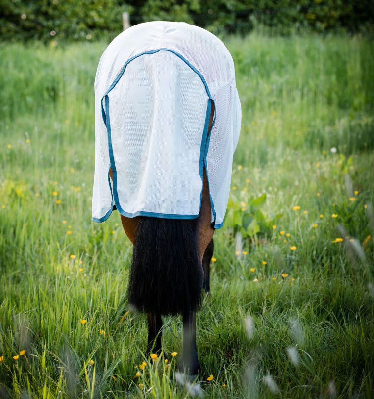 Horseware Amigo® AmECO Bug Rug Fly Sheet - Horseware Ireland - Equiluxe Tack
