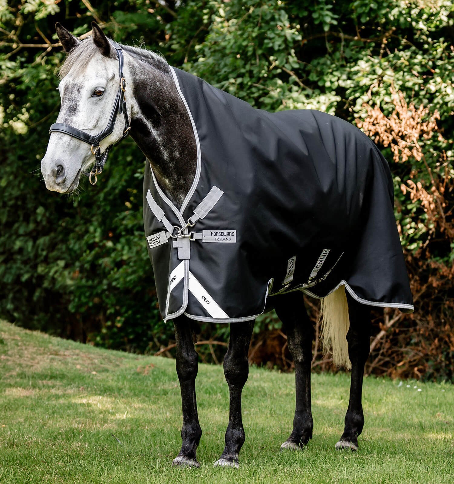 Horseware Amigo® Bravo 12 Wug Turnout (400g Heavy) - Horseware Ireland - Equiluxe Tack