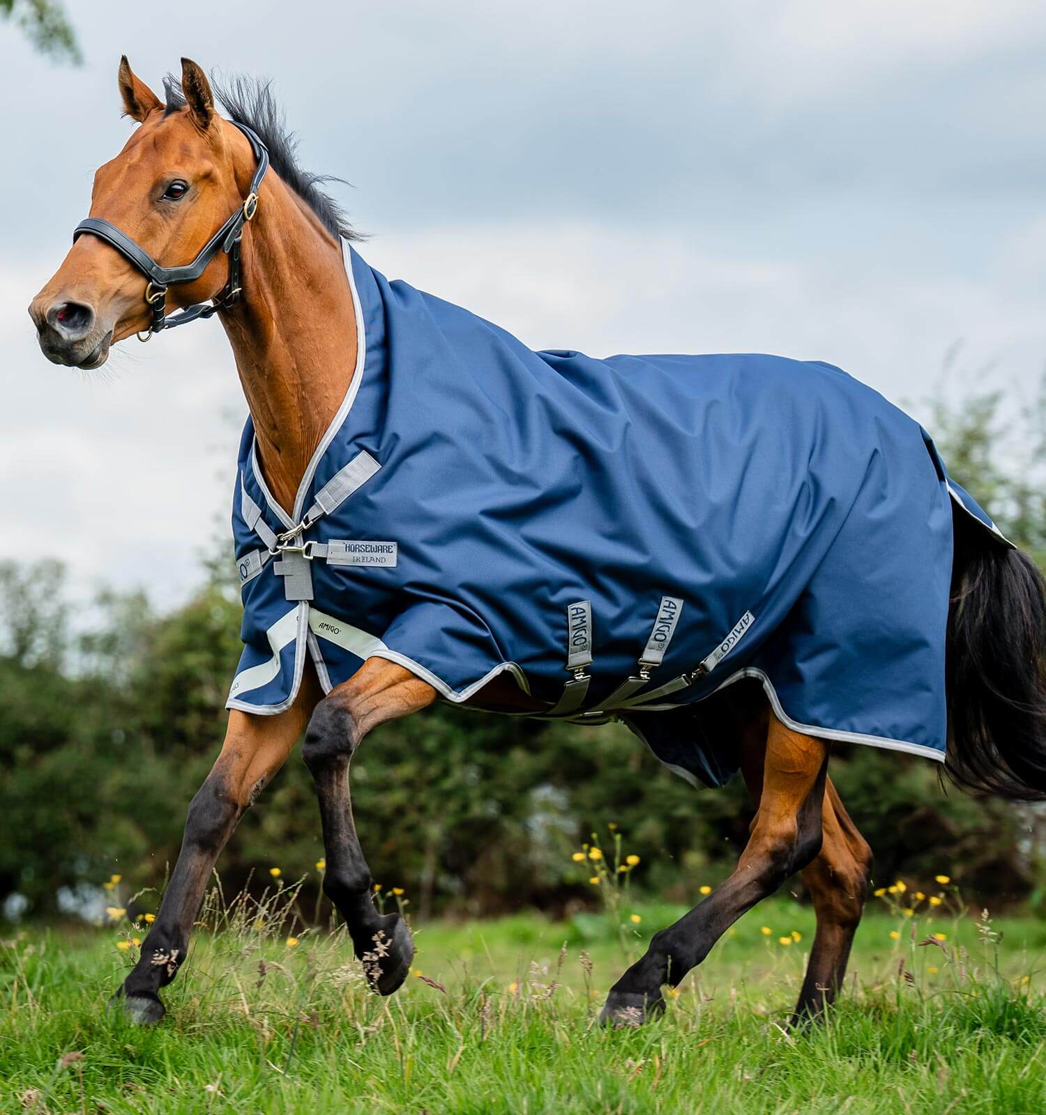 Horseware Amigo® Bravo 12 Wug Turnout (400g Heavy) - Horseware Ireland - Equiluxe Tack