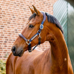 Horseware® Signature Competition Halter - Horseware Ireland - Equiluxe Tack