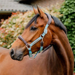 Horseware® Signature Competition Halter - Horseware Ireland - Equiluxe Tack
