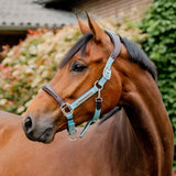 Horseware® Signature Competition Halter - Horseware Ireland - Equiluxe Tack