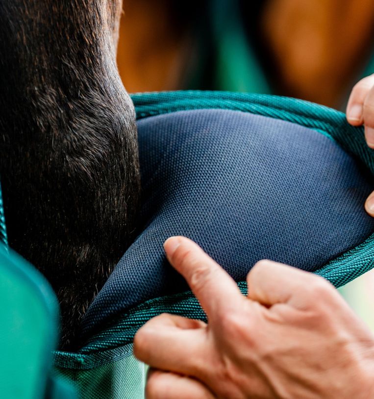 Horseware® Signature Travel Boots - Horseware Ireland - Equiluxe Tack