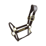 Kentucky Horsewear Anatomic Leather Halter - Kentucky Horsewear - Equiluxe Tack