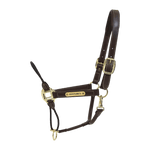 Kentucky Horsewear Leather Rope Halter - Kentucky Horsewear - Equiluxe Tack