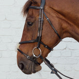 Kentucky Horsewear Plaited fig 8 noseband - Kentucky Horsewear - Equiluxe Tack