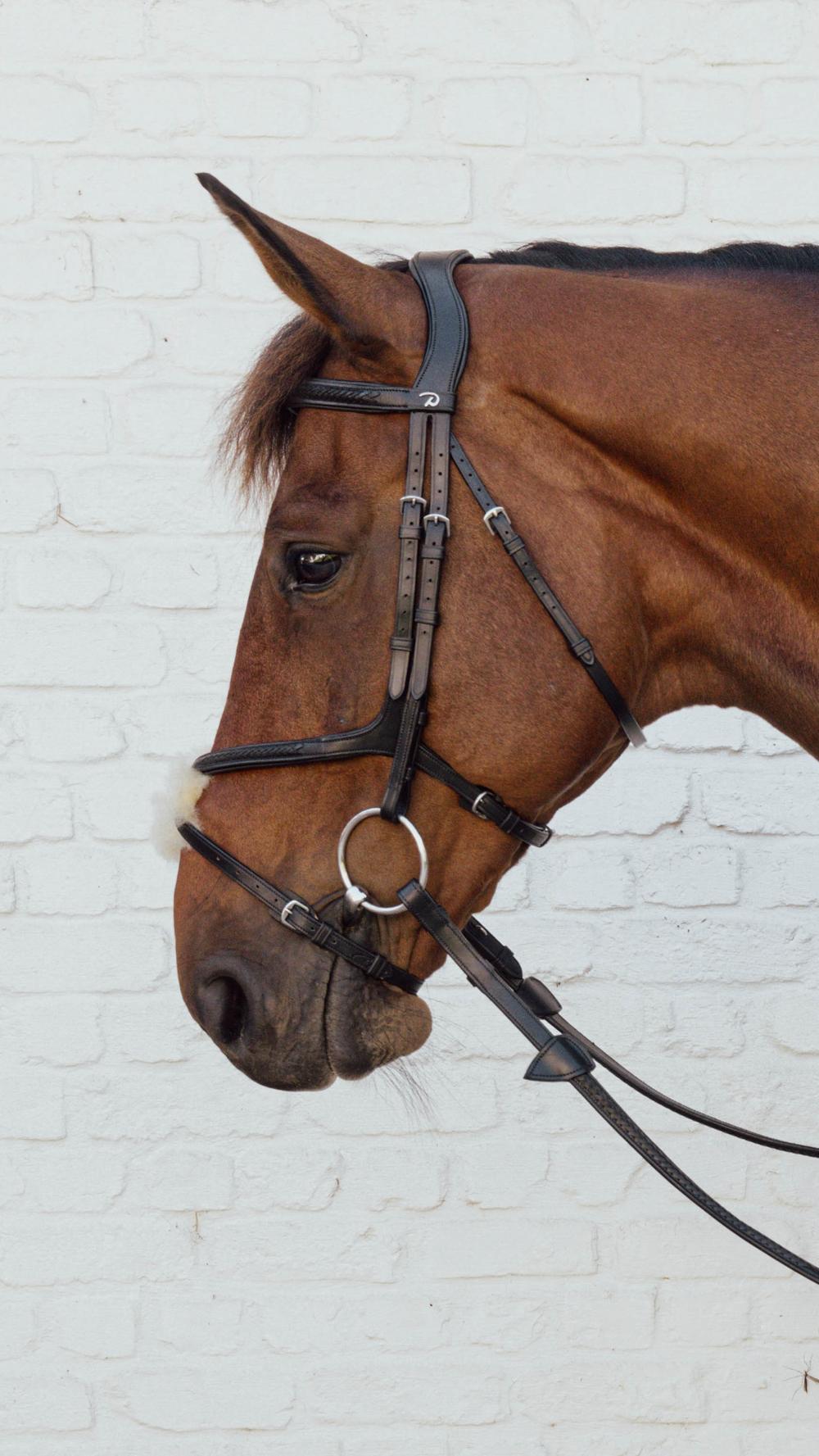 Kentucky Horsewear Plaited fig 8 noseband - Kentucky Horsewear - Equiluxe Tack