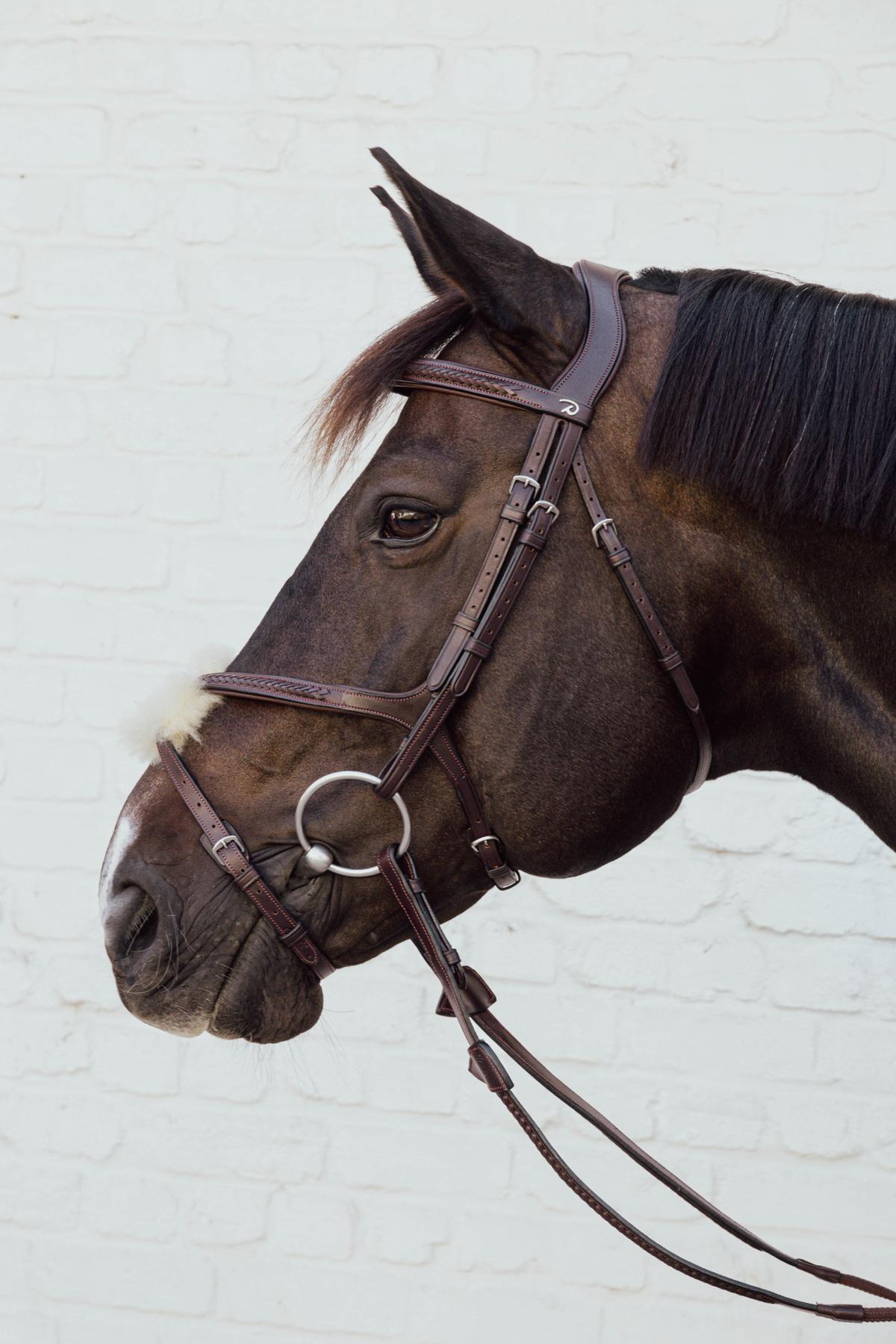 Kentucky Horsewear Plaited fig 8 noseband - Kentucky Horsewear - Equiluxe Tack