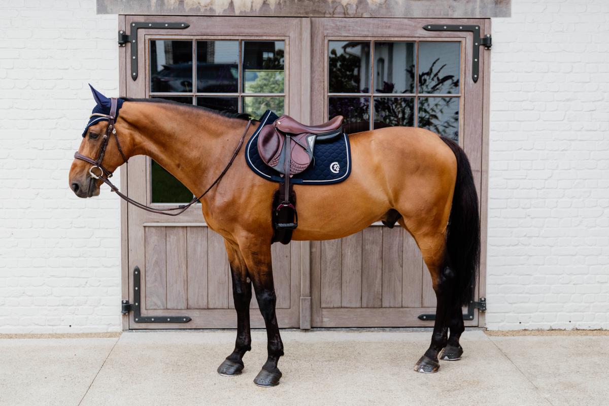 Kentucky Horsewear Saddle Pad 3D Logo Onion Quilt Jumping - Navy - Kentucky Horsewear - Equiluxe Tack