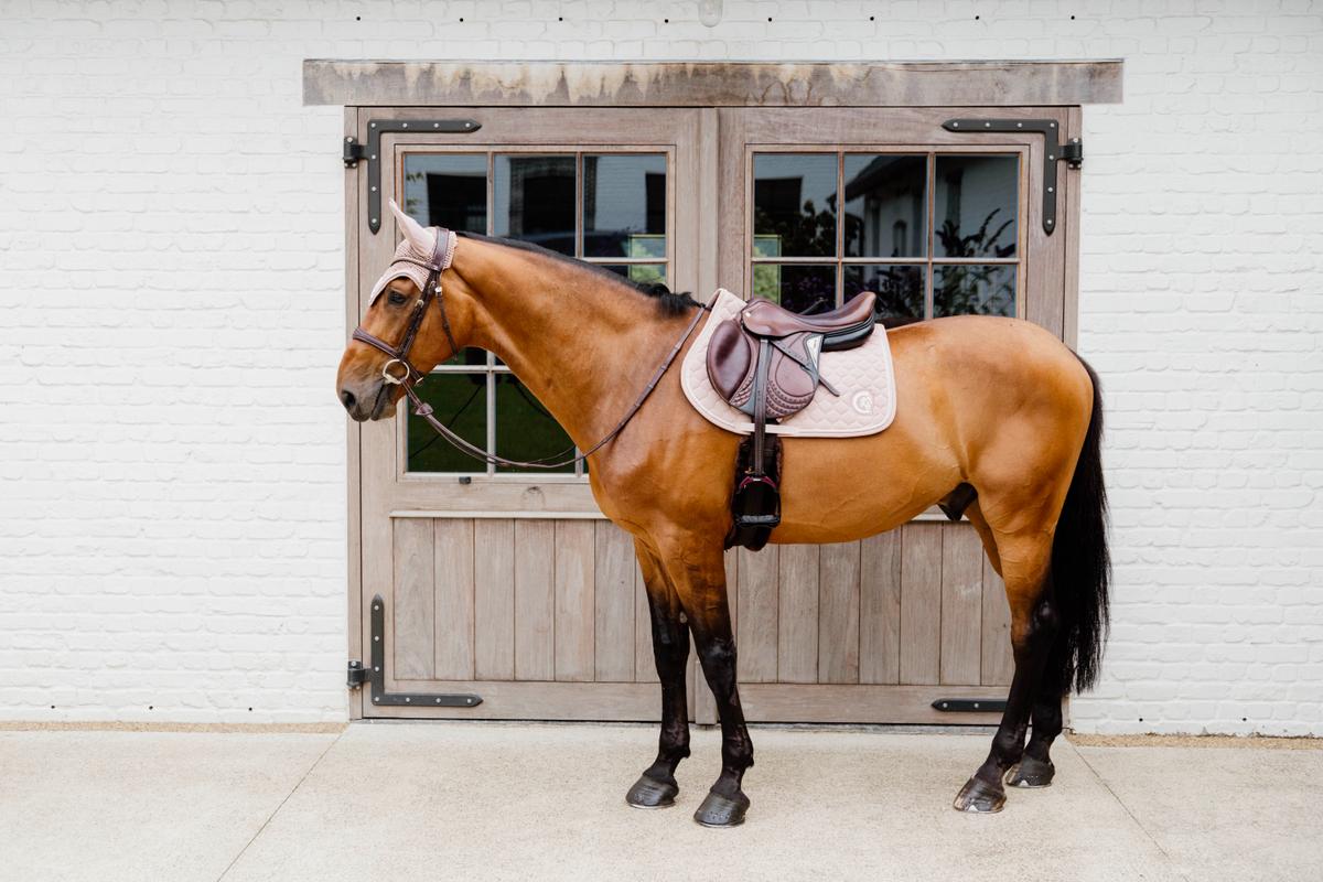 Kentucky Horsewear Saddle Pad 3D Logo Onion Quilt Jumping - Old Rose - Kentucky Horsewear - Equiluxe Tack