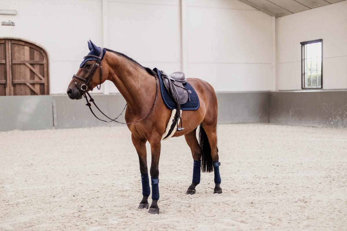 Kentucky Horsewear Saddle Pad Glitter Rope Jumping - Navy - Kentucky Horsewear - Equiluxe Tack