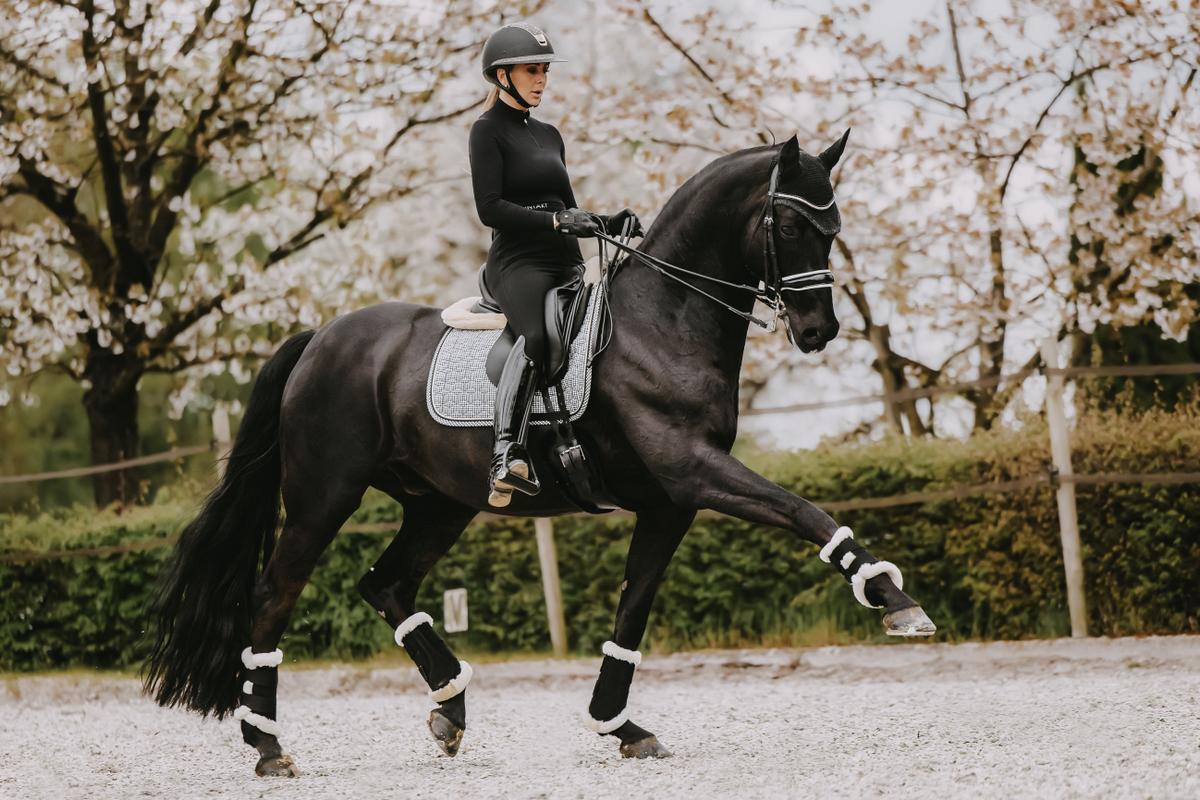 Kentucky Horsewear Saddle Pad Pied De Poule Dressage - Black - Kentucky Horsewear - Equiluxe Tack