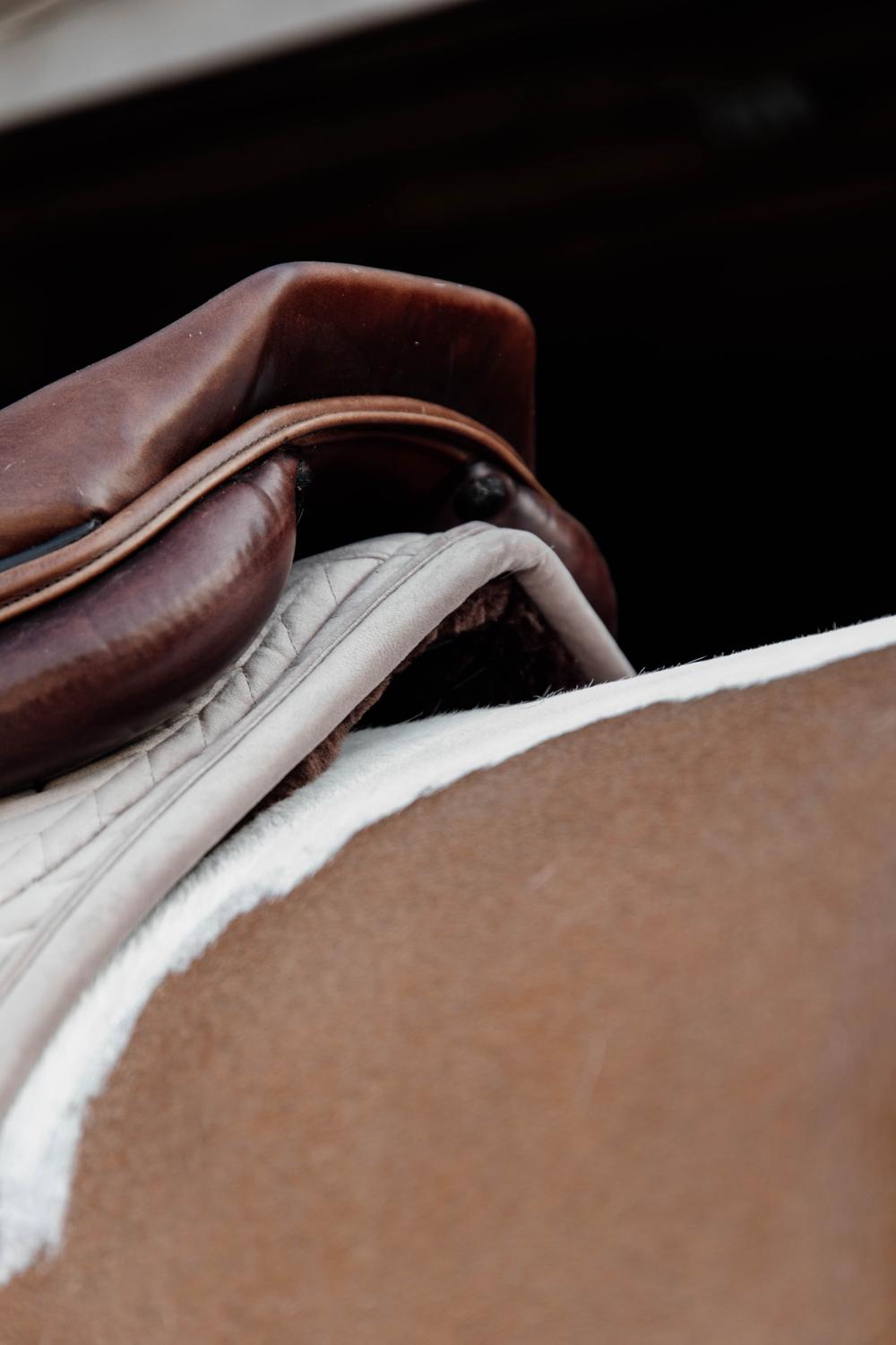 Kentucky Horsewear Skin Friendly Saddle Pad Velvet Jumping - Beige - Kentucky Horsewear - Equiluxe Tack