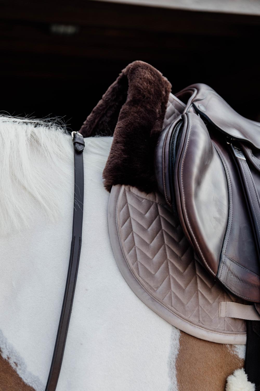 Kentucky Horsewear Skin Friendly Saddle Pad Velvet Jumping - Beige - Kentucky Horsewear - Equiluxe Tack