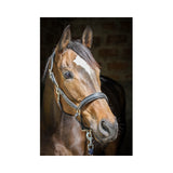 Pénélope Black Leather Halter