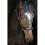 Pénélope Black Leather Halter - Pénélope - Equiluxe Tack