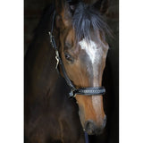 Pénélope Black Leather Halter - Pénélope - Equiluxe Tack