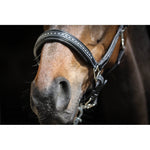 Pénélope Black Leather Halter - Pénélope - Equiluxe Tack