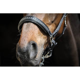 Pénélope Black Leather Halter - Pénélope - Equiluxe Tack