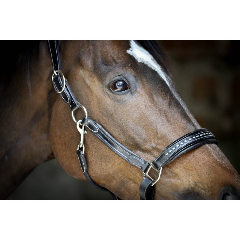 Pénélope Black Leather Halter - Pénélope - Equiluxe Tack