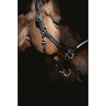 Pénélope Harmonie Halter - Black - Pénélope - Equiluxe Tack