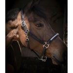 Pénélope Harmonie Halter - Black - Pénélope - Equiluxe Tack