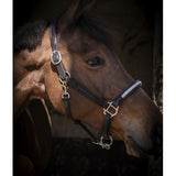 Pénélope Harmonie Halter - Black - Pénélope - Equiluxe Tack