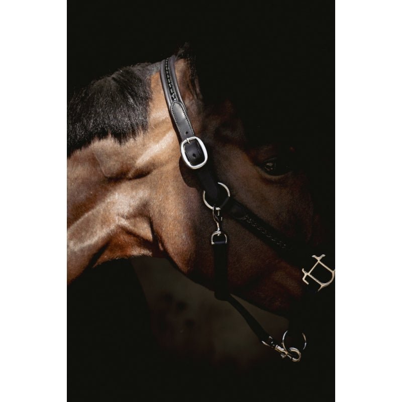 Pénélope Harmonie Halter - Black - Pénélope - Equiluxe Tack