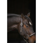 Pénélope Harmonie Halter - Black - Pénélope - Equiluxe Tack