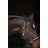 Pénélope Harmonie Halter - Black - Pénélope - Equiluxe Tack