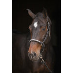 Pénélope Harmonie Halter - Black - Pénélope - Equiluxe Tack