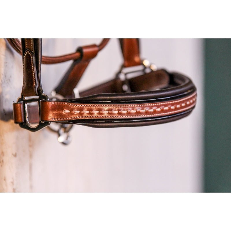 Pénélope Leather Halter - Pénélope - Equiluxe Tack