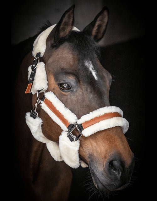 Pénélope Soft Halter - Black & Beige - Pénélope - Equiluxe Tack