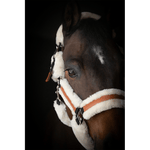 Pénélope Soft Halter - Black & Beige - Pénélope - Equiluxe Tack