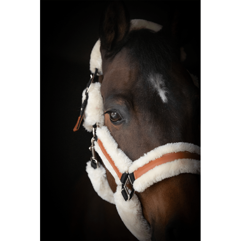 Pénélope Soft Halter - Black & Beige - Pénélope - Equiluxe Tack
