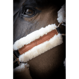 Pénélope Soft Halter - Black & Beige - Pénélope - Equiluxe Tack