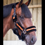 Pénélope Soft Halter - Black & Black - Pénélope - Equiluxe Tack