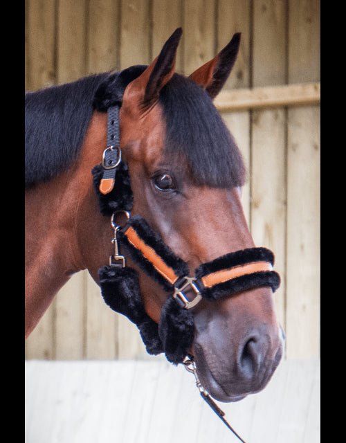 Pénélope Soft Halter - Black & Black - Pénélope - Equiluxe Tack