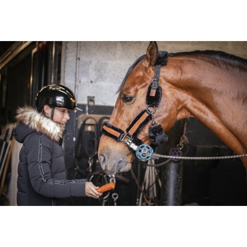 Pénélope Soft Leather Halter - Black & Black - Pénélope - Equiluxe Tack