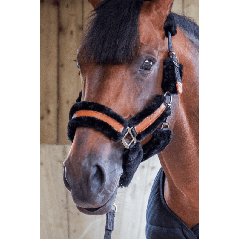 Pénélope Soft Leather Halter - Black & Black - Pénélope - Equiluxe Tack