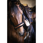 Pénélope Soft Leather Halter - Black & Black - Pénélope - Equiluxe Tack