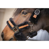 Pénélope Soft Leather Halter - Black & Black - Pénélope - Equiluxe Tack